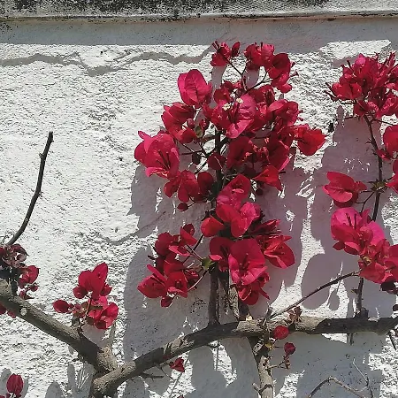 Masseria Semerano 2 Villa Ostuni