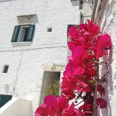 Masseria Semerano 2 Villa *